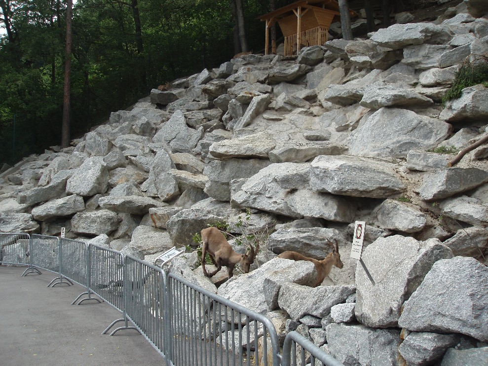 Alpenzoo Innsbruck alpine wildlife park