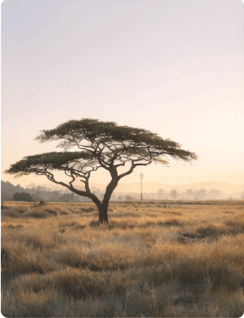 Travel planning for africa